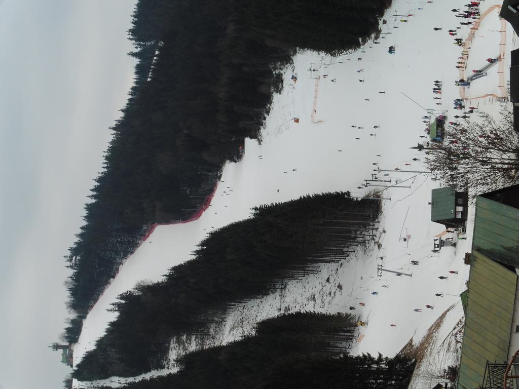 Jako Doma Albrechtice v Jizerskych horach Exterior foto